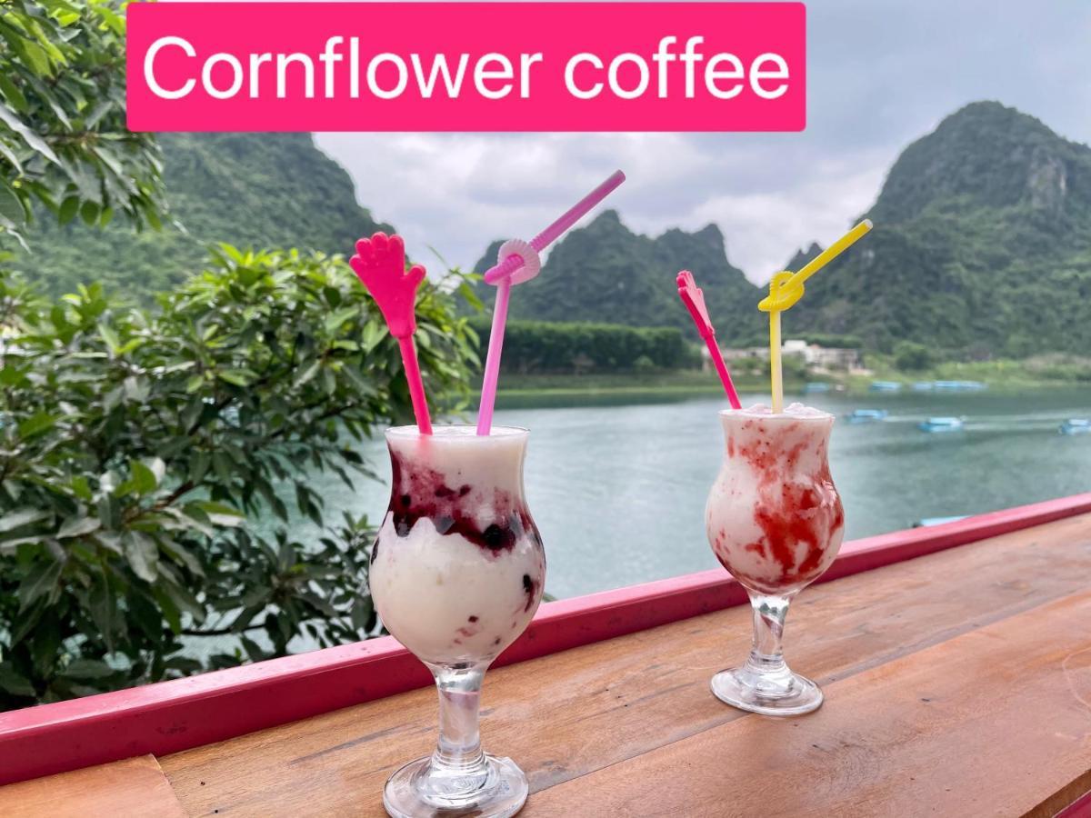 Cornflower Homestay Phong Nha Dış mekan fotoğraf